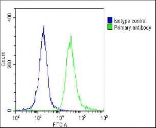 m03166 anti tomm40 antibody n term fc testing 3
