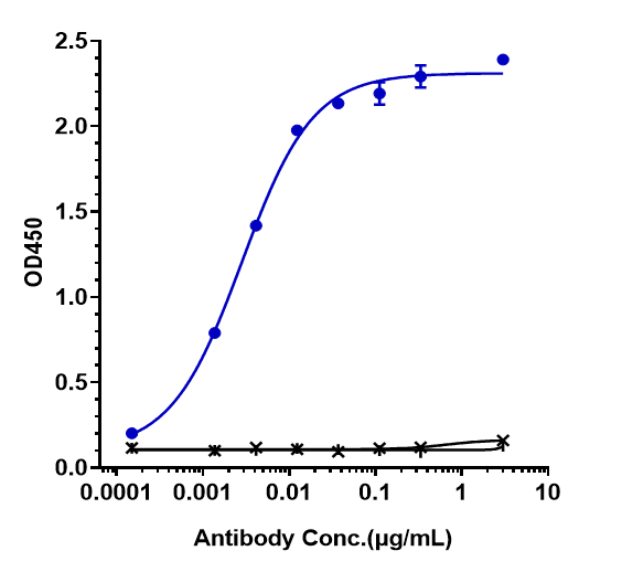 Immobilized human ROR1 His at 2 &mug/mL can bind Anti-ROR1 Reference Antibody (zilovertamab)