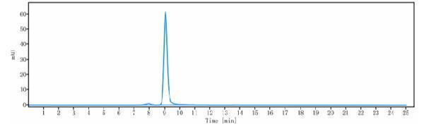 The purity of Anti-ROR1 Reference Antibody (zilovertamab vedotin)is more than 98