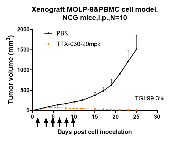 TTX-030 inhibited the tumor growth of MOLP-8 on NCG mice