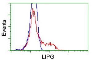 m03211 anti lipg mouse monoclonal antibody clone id oti4a8 flow cytometry testing 10