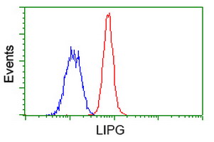m03211 anti lipg mouse monoclonal antibody clone id oti4a8 flow cytometry testing 11