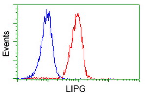 m03211 anti lipg mouse monoclonal antibody clone id oti4a8 flow cytometry testing 12