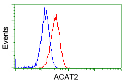 m03245 1 anti acat2 mouse monoclonal antibody clone id oti5f7 flow cytometry testing 11