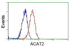 m03245 1 anti acat2 mouse monoclonal antibody clone id oti5f7 flow cytometry testing 12