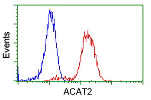 m03245 anti acat2 mouse monoclonal antibody clone id oti1b7 flow cytometry testing 11