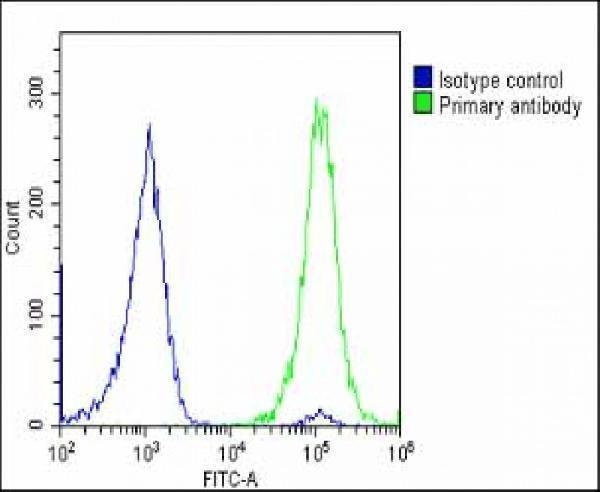 Overlay histogram showing U-2 OS cells stained with M03259-1 (green line)
