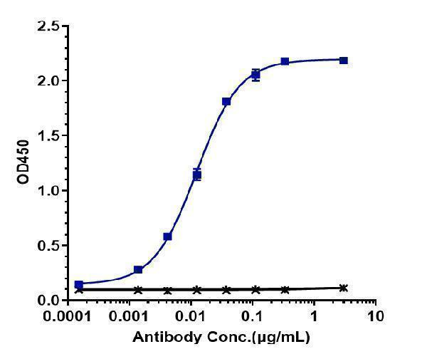 Immobilized human Mesothelin His at 2 &mug/mL can bind Anti-Mesothelin Reference Antibody (amatuximab)