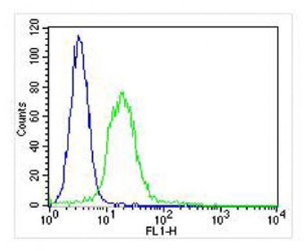 m03267 anti itga7 antibody n term fc testing 5