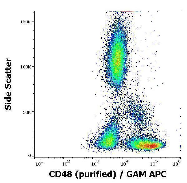 Flow cytometry surface staining pattern of human peripheral whole blood stained using anti-human CD48 (MEM-102) purified antibody (concentration in sample 3 µg/ml, GAM APC)