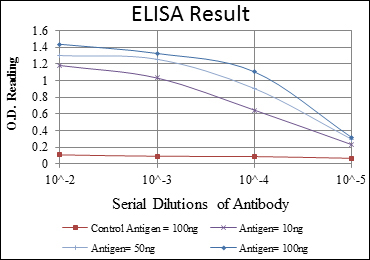 m03284 gata5 primary antibodies wb testing 1
