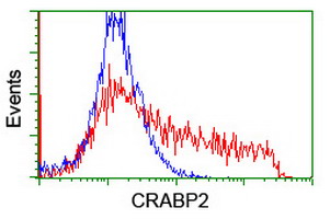 m03297 anti crabp2 mouse monoclonal antibody clone id oti10d6 flow cytometry testing 4