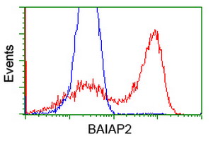 m03306 1 anti baiap2 mouse monoclonal antibody clone id oti 1d9 flow cytometry testing 8