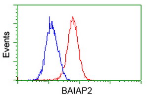 m03306 1 anti baiap2 mouse monoclonal antibody clone id oti 1d9 flow cytometry testing 9
