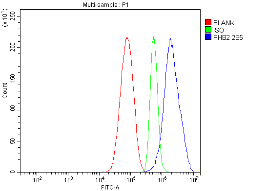 m03315 phb2 primary antibodies fcm testing 8
