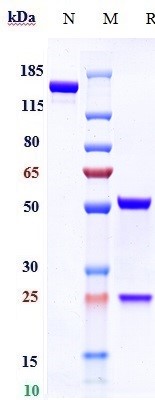 m03342 1 sds page