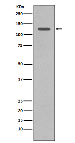 m03358 wb