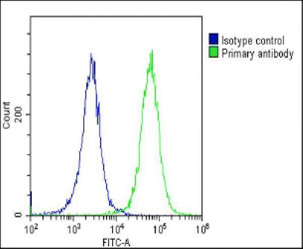 Overlay histogram showing HeLa cells stained with M03372 (green line)
