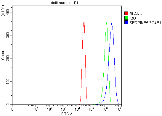m03409 serpinb5 primary antibodies fcm testing 4