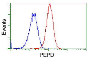 m03417 anti pepd mouse monoclonal antibody clone id oti5d5 flow cytometry testing 11