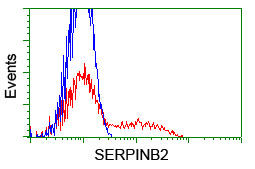 m03427 anti serpinb2 mouse monoclonal antibody clone id oti1f6 flow cytometry testing 6