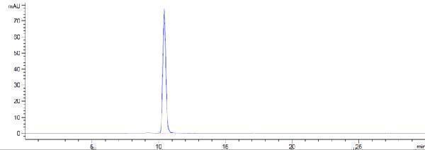 The purity of Anti-AGER/RAGE Reference Antibody (XT-M4)is more than 95%