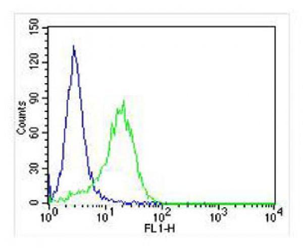 m03463 anti rab3a antibody fc testing 4