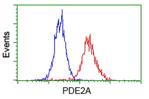 m03472 1 anti pde2a mouse monoclonal antibody clone id oti3a4 flow cytometry testing 5