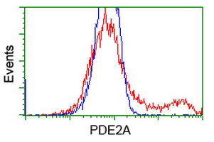 m03472 anti pde2a mouse monoclonal antibody clone id oti1g9 flow cytometry testing 7
