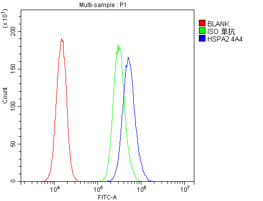 Flow Cytometry analysis of PC-3 cells using anti-HSPA2 antibody (M03474-1). Overlay histogram showing PC-3 cells stained with M03474-1 (Blue line).The cells were blocked with 10% normal goat serum. And then incubated with rabbit anti-HSPA2 Antibody (M03474-1,1μg/1x106 cells) for 30 min at 20°C. DyLight®488 conjugated goat anti-rabbit IgG (BA1127, 5-10μg/1x106 cells) was used as secondary antibody for 30 minutes at 20°C. Isotype control antibody (Green line) was rabbit IgG (1μg/1x106) used under the same conditions. Unlabelled sample (Red line) was also used as a control.