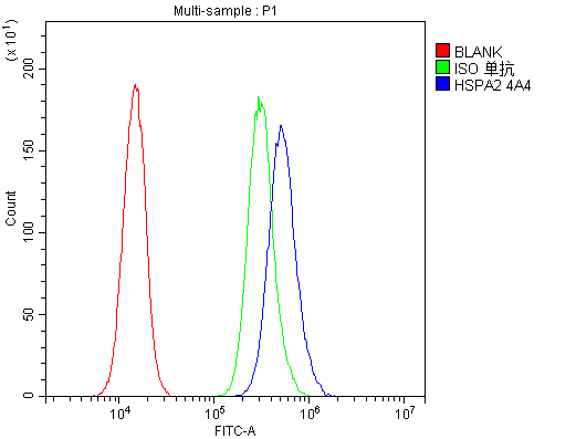 m03474 1 hspa2 primary antibodies fc testing 4