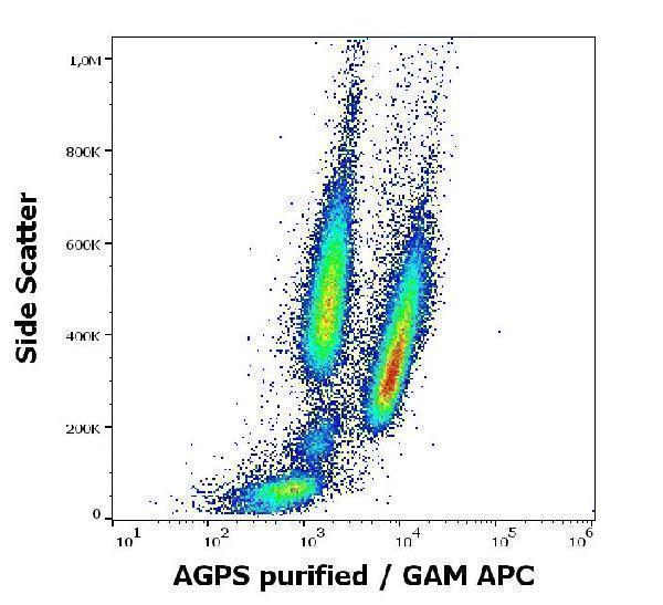 Flow cytometry intracellular staining pattern of human peripheral whole blood spiked with K562 cells stained using anti-AGPS (AGPS-03) purified antibody (concentration in sample 5 µg/ml, GAM APC)