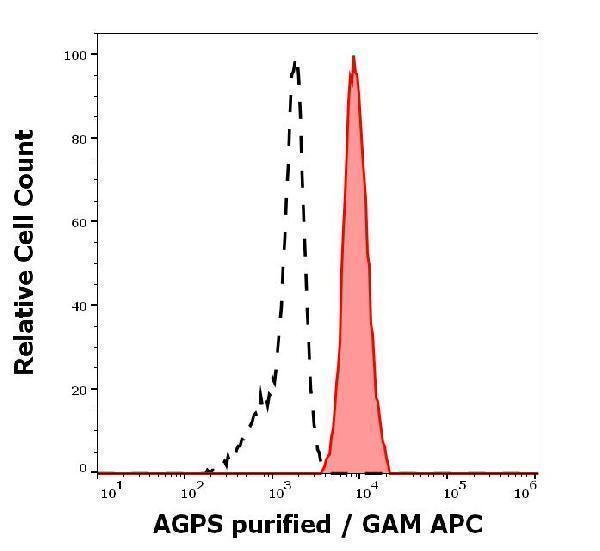 Separation of K562 cells (red-filled) from human leukocytes (black-dashed) in flow cytometry analysis (intracellular staining) of human peripheral whole blood spiked with K562 cells stained using anti-AGPS (AGPS-03) purified antibody (concentration in sample 5 µg/ml, GAM APC)