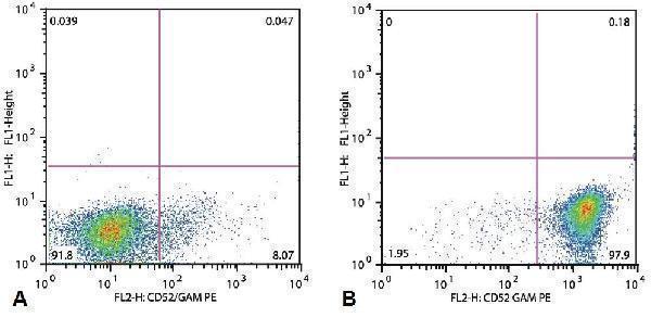 m03484 1 hu cd52 primary antibodies fc testing 1