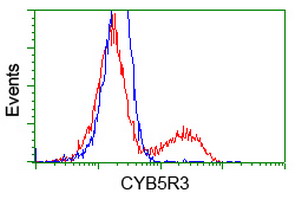 m03487 1 anti cyb5r3 mouse monoclonal antibody clone id oti2a10 flow cytometry testing 13