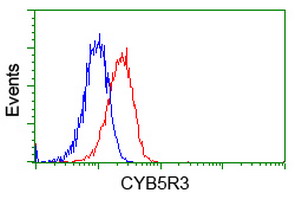 m03487 1 anti cyb5r3 mouse monoclonal antibody clone id oti2a10 flow cytometry testing 14