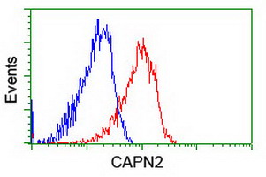 Flow cytometric Analysis of Hela cells
