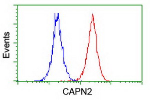 Flow cytometric Analysis of Jurkat cells