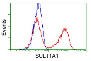 m03500 1 anti sult1a1 mouse monoclonal antibody clone id oti9b7 flow cytometry testing 7