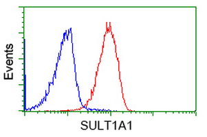m03500 1 anti sult1a1 mouse monoclonal antibody clone id oti9b7 flow cytometry testing 8