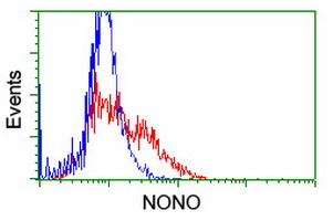 HEK293T cells transfected with either NONO (Myc-DDK-tagged) overexpress plasmid (Red) or empty vector control plasmid (Blue) were immunostained by anti-NONO antibody (M03515-1)