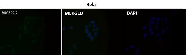 m03529 2 icc3