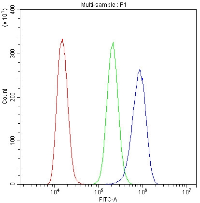 Flow Cytometry analysis of A431 cells using anti-Cytochrome C antibody (M03529-5). Overlay histogram showing A431 cells stained with M03529-5 (Blue line).The cells were blocked with 10% normal goat serum. And then incubated with mouse anti-Cytochrome C Antibody (M03529-5,1μg/1x106 cells) for 30 min at 20°C. DyLight®488 conjugated goat anti-mouse IgG (BA1126, 5-10μg/1x106 cells) was used as secondary antibody for 30 minutes at 20°C. Isotype control antibody (Green line) was mouse IgG (1μg/1x106) used under the same conditions. Unlabelled sample (Red line) was also used as a control.