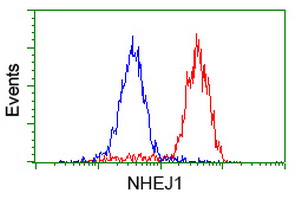 m03552 anti xlf nhej1 mouse monoclonal antibody clone id oti3d6 flow cytometry testing 15