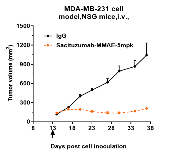 m03569 4 mda mb 231 cell model