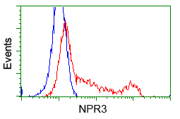 m03589 2 anti natriuretic peptide receptor c npr3 mouse monoclonal antibody clone id oti11a6 flow cytometry testing 9