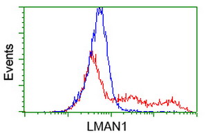 m03628 anti lman1 mouse monoclonal antibody clone id oti1e3 flow cytometry testing 12