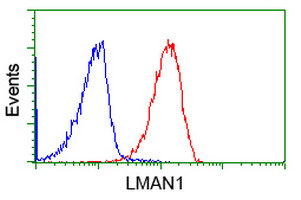 m03628 anti lman1 mouse monoclonal antibody clone id oti1e3 flow cytometry testing 13