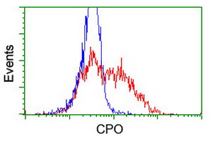 m03649 anti cpo mouse monoclonal antibody clone id oti1c1 flow cytometry testing 2