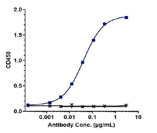 Immobilized human CD200R His at 2 &mug/mL can bind Anti-OX2R/CD200R1 Reference Antibody (Janssen patent anti-CD200R1)